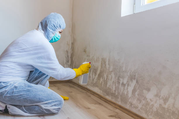 Crawl Space Mold Remediation treatment of floor joists in Portland